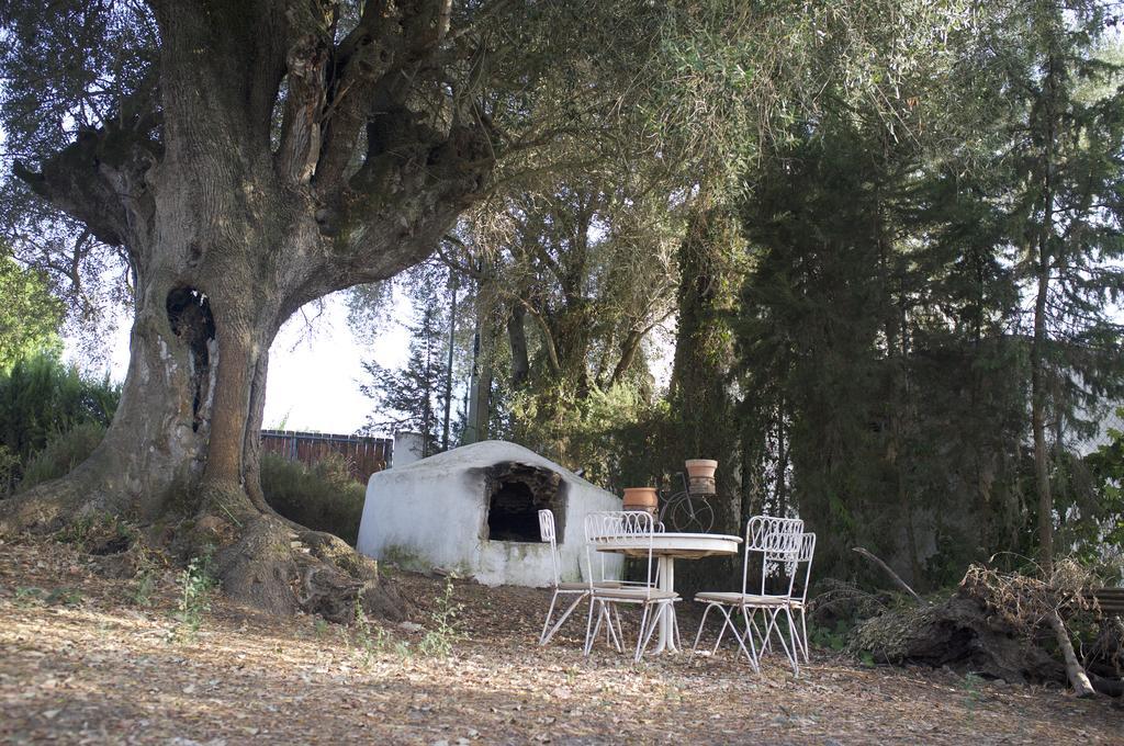Villas De La Ermita Vejer de la Frontera Bagian luar foto